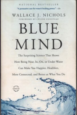 Book Blue Mind