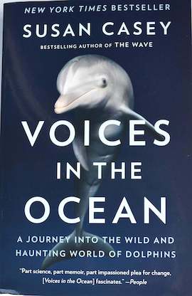 Book Voices in the Ocean