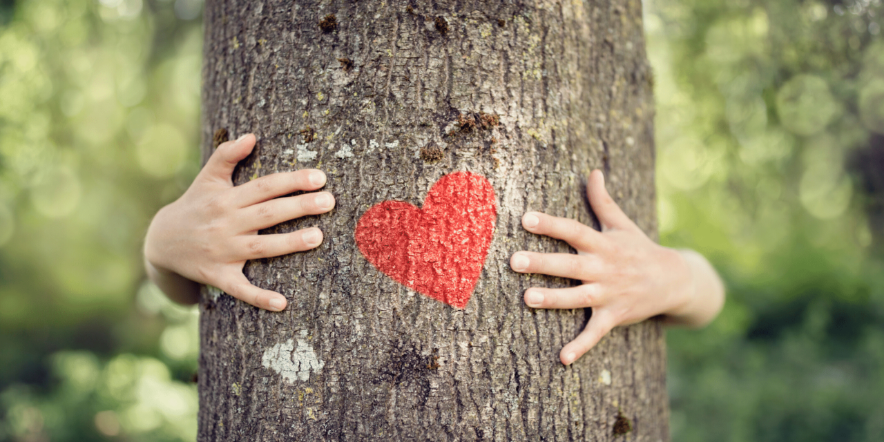 Time to Give Trees the Love They Deserve