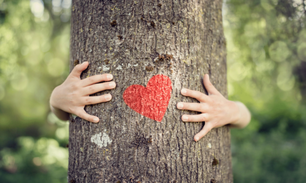 Time to Give Trees the Love They Deserve