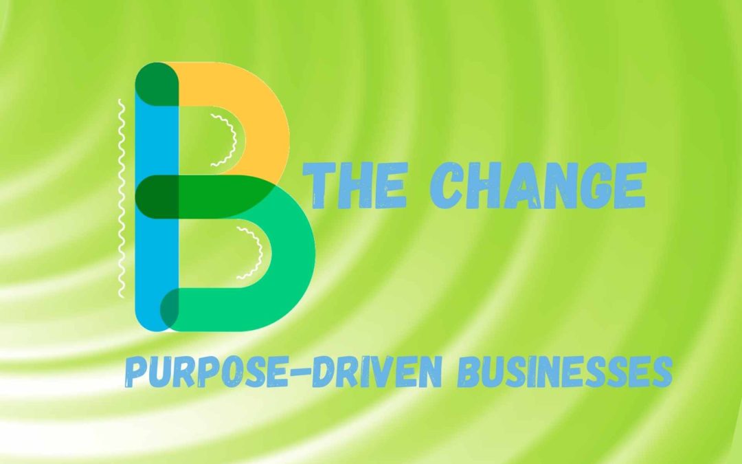 Social and B-Corp Blog