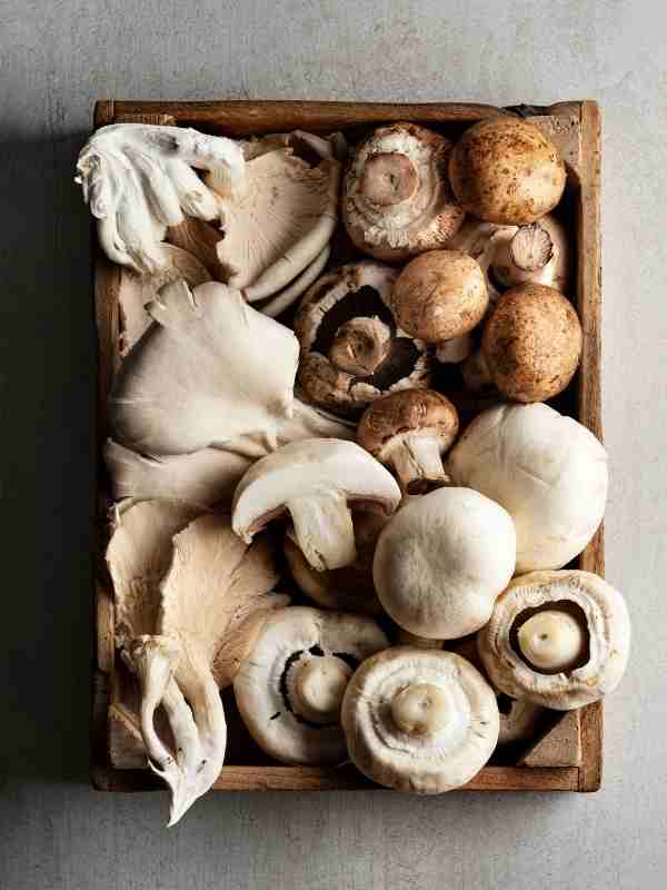 Assorted Mushrooms Image