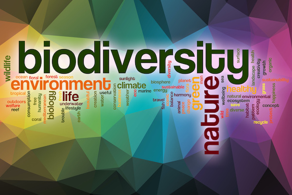 Biodiversity Image