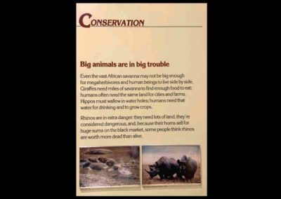 Big Animals at Risk