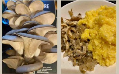 Sautéed Blue Oyster Mushrooms