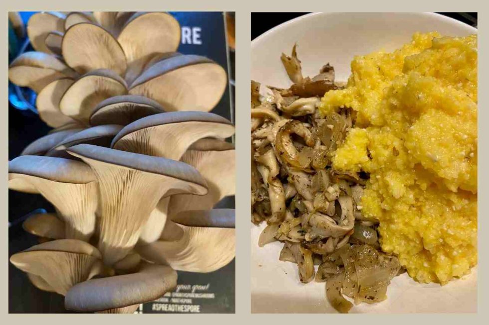 Sautéed Blue Oyster Mushrooms One Life