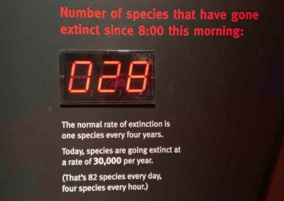 Extinction Counter