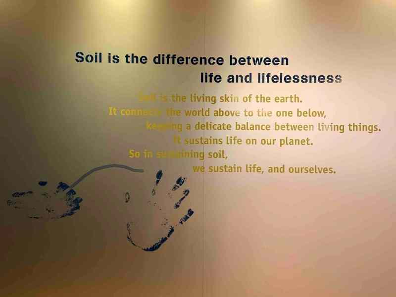 Importance of Soil