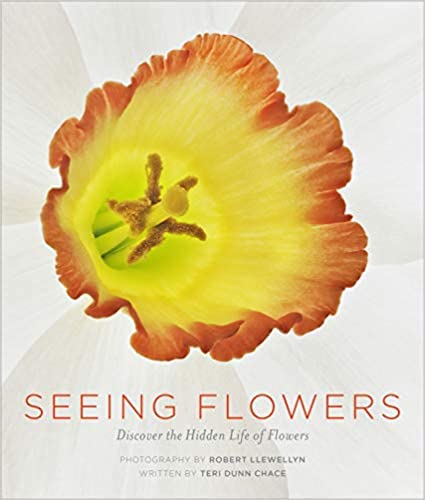 Seeing Flowers Book Cover