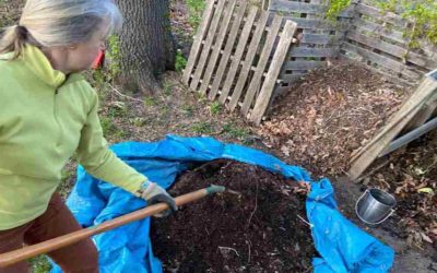 An Easy Guide to Backyard Composting