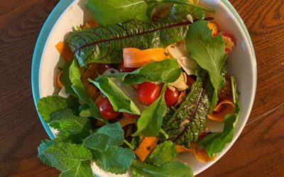 Garden Fresh Arugula Salad