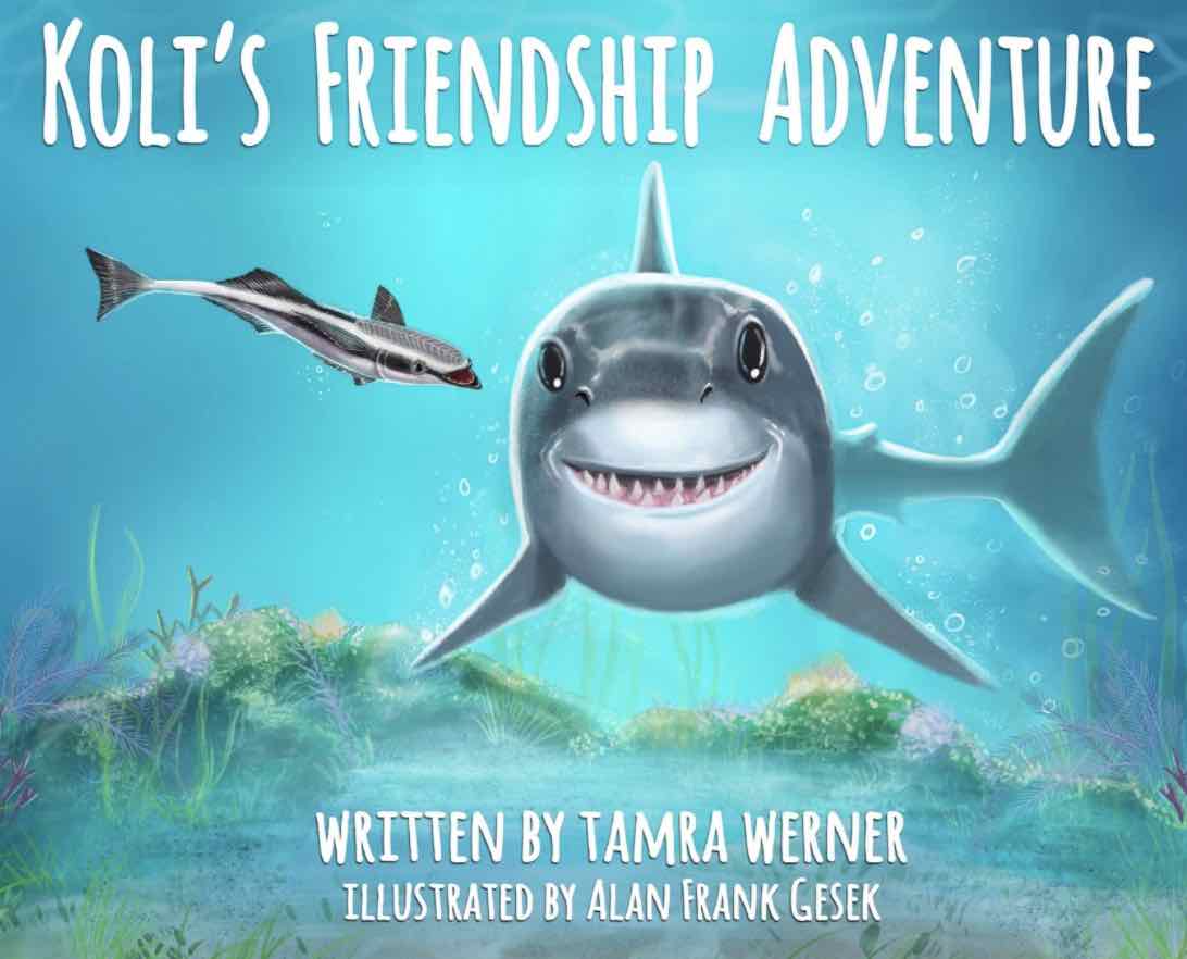 Kolis Friendship Adventure Book Cover