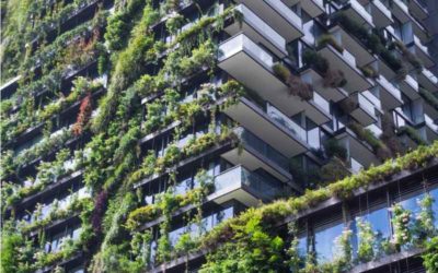 We Need to Focus Sustainability on Cities