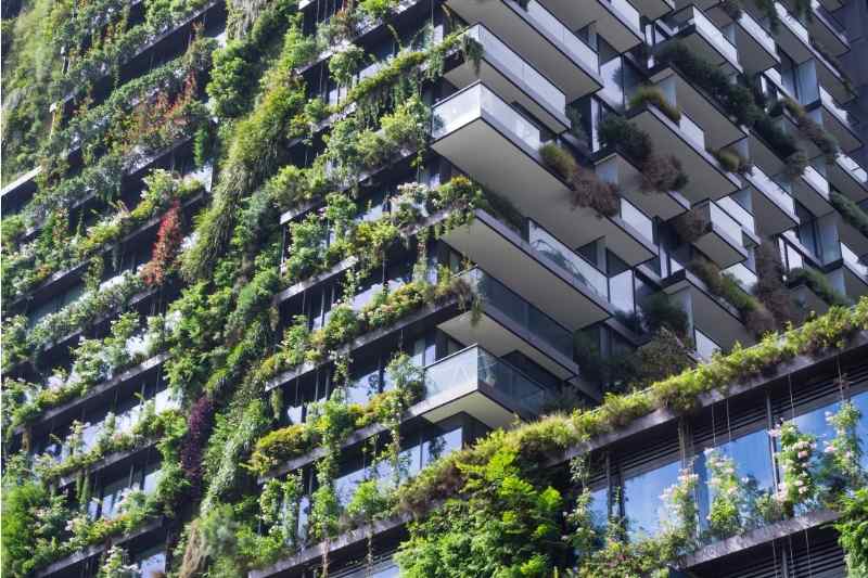 Cities are key to sustainability blog