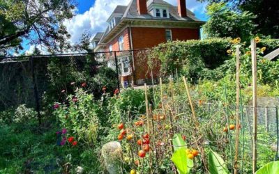 Urban Community Gardens Enhance City Life