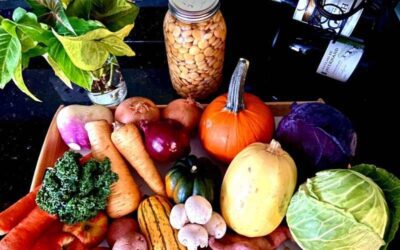 Tips for Local Produce Shopping in Winter