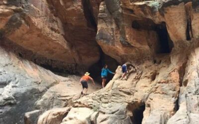 An Insider’s Guide to Exploring Zion National Park