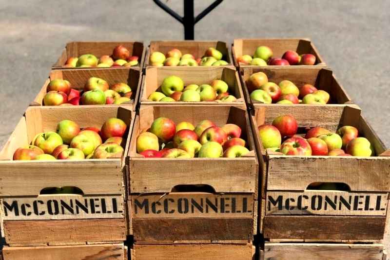 Spotlight on McConnells’ Farm and Market in Southwestern PA