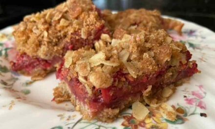 Strawberry Rhubarb Crumble
