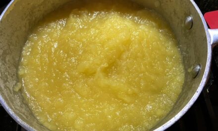 Autumn’s Spectacular Applesauce