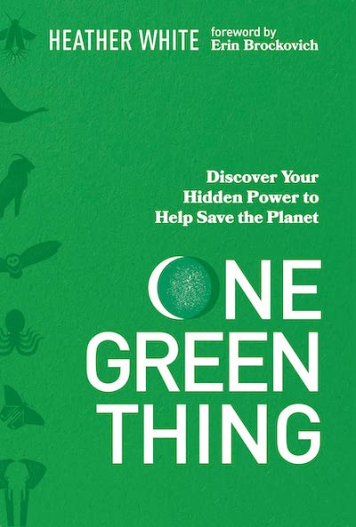 One Green Thing Book Cover