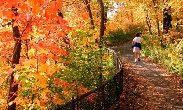 Embrace the Outdoors with OPL’s October Challenge