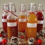 Fruit Shrubs: Delicious and Attractive Cocktails or Mocktails!