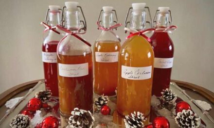 Fruit Shrubs: Delicious and Attractive Cocktails or Mocktails!