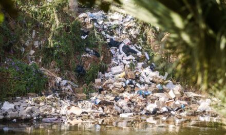 Save the Planet from Plastic Pollution, One Refill at a Time