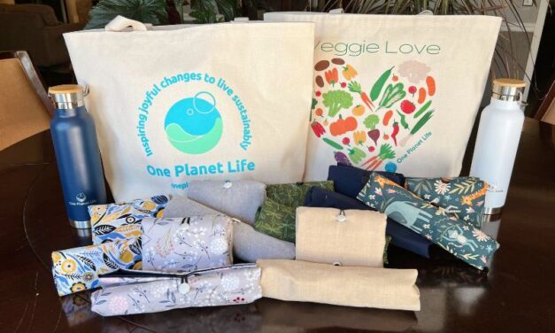 <strong>How to Shop Smart and Save the Planet This Holiday Season</strong>