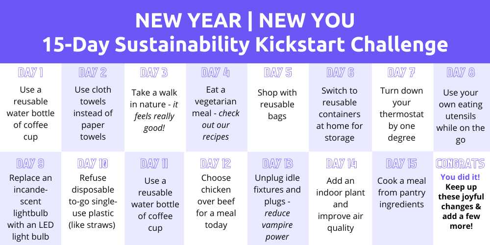 January 15-day Sustainability Challenge Calendar