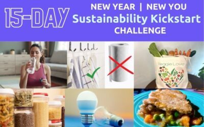 New Year | New You 15-Day Sustainability Kickstart Challenge