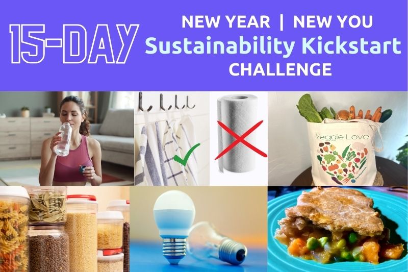 OPL 15-Day Sustainability Kickstart Challenge
