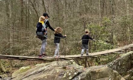 Hiking with Kids: Tips for a Successful Outdoor Adventure