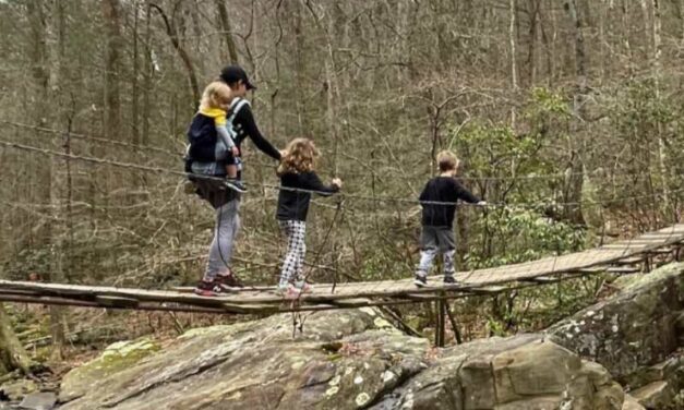 Hiking with Kids: Tips for a Successful Outdoor Adventure