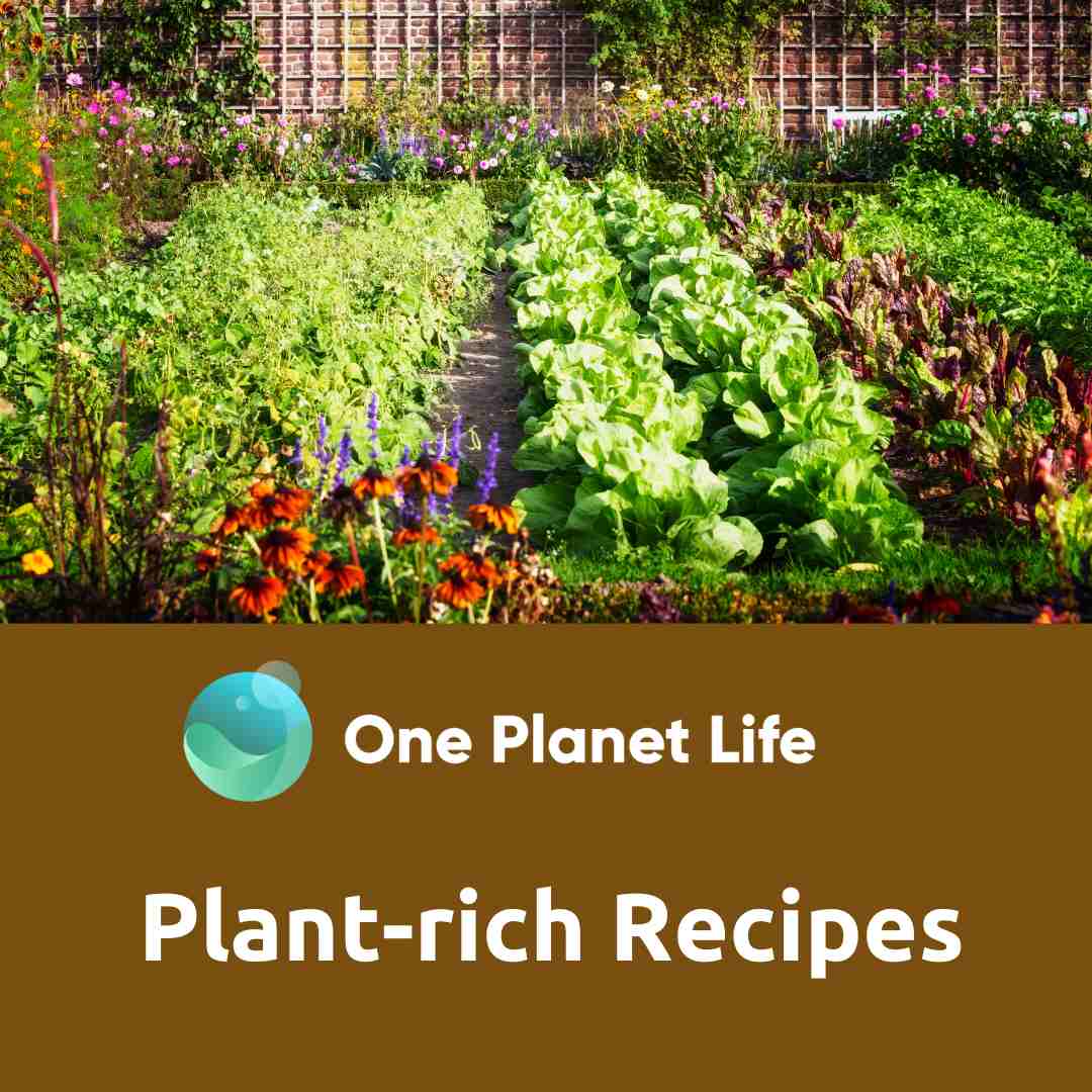 One Planet Life Plant-rich Recipes