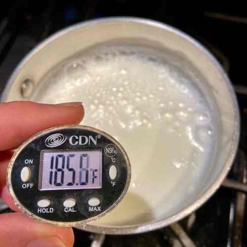 Checking the temperature of Homemade Yogurt