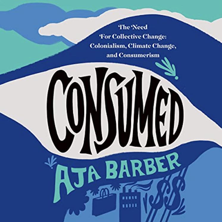 Consumed by Aja Barber Book Cover