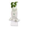 Hydropod Herb Kit