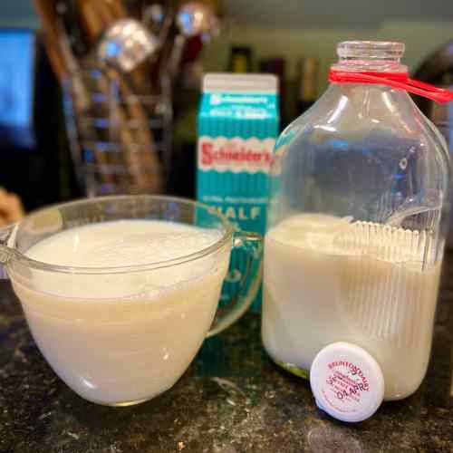 Ingredients for Homemade Yogurt