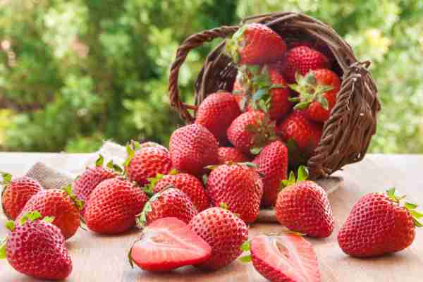 Fresh Strawberries and Yogurt