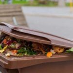 Composting Champs: US Cities and States Leading the Way