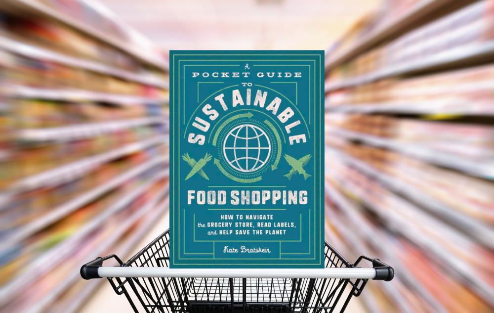 A Pocket Guide to Sustainable Shopping Book Cover