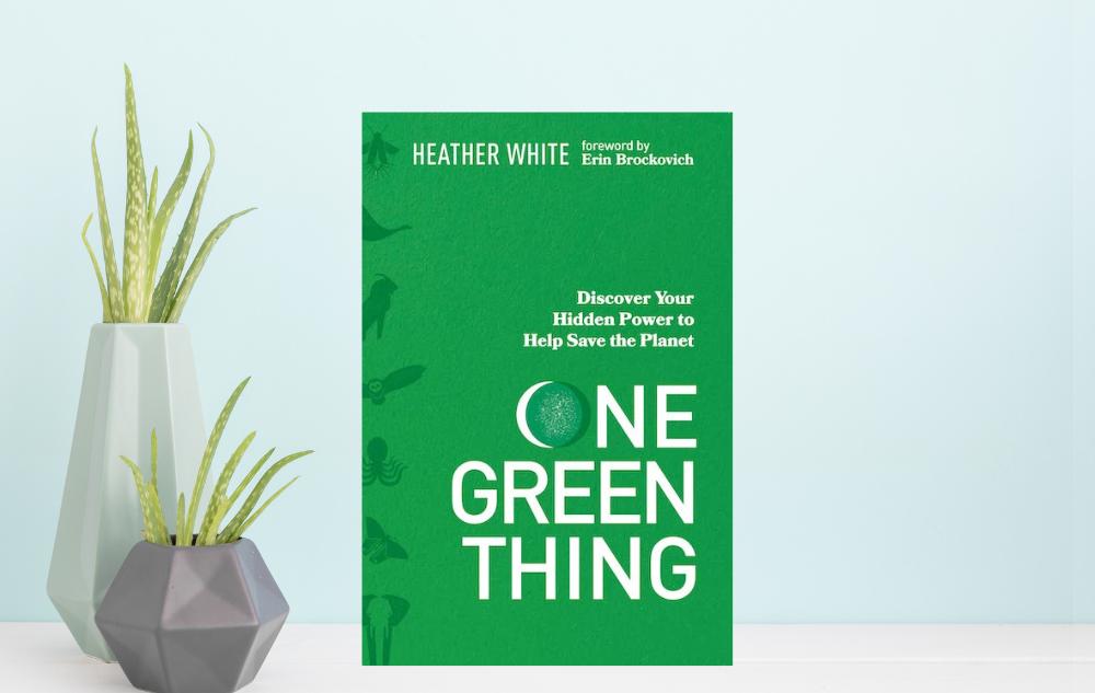 One Green Thing by Heather White