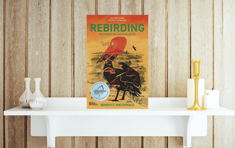 Rebirding: Restoring Britain’s Wildlife by Benedict MacDonald