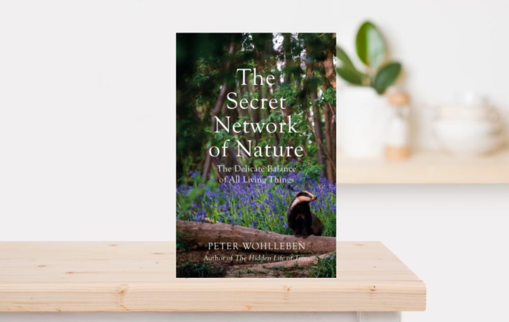 The Secret Network of Nature by Peter Wohlleben