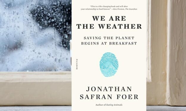 We are the Weather by Jonathan Safran Foer