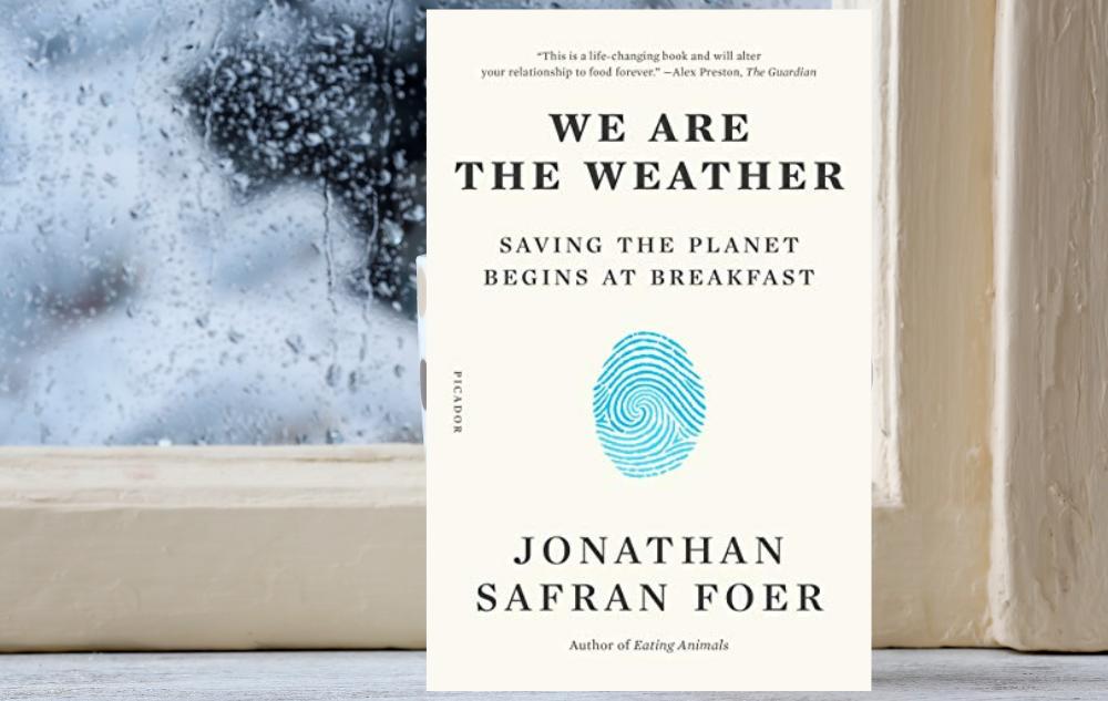 We are the Weather Book Cover