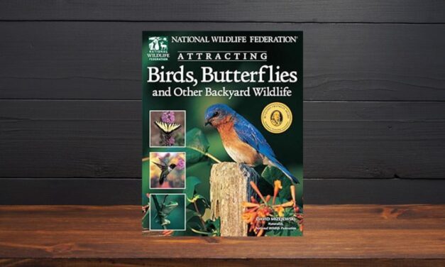 Attracting Birds, Butterflies, and Other Backyard Wildlife by David Mizejewski