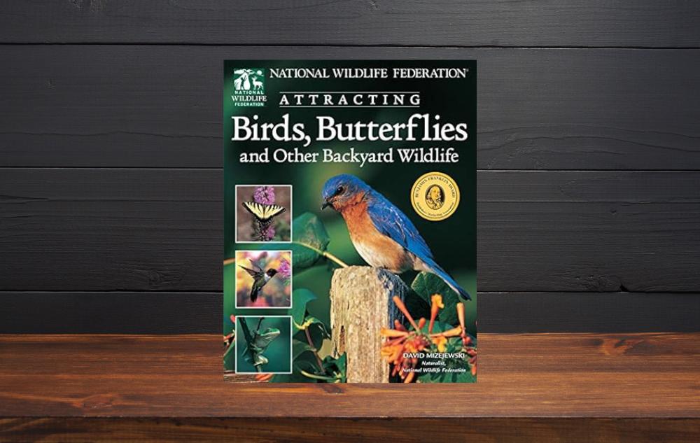 Attracting Birds, Butterflies, and Other Backyard Wildlife by David Mizejewski